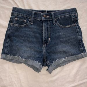 Brand new never worn hollister shorts